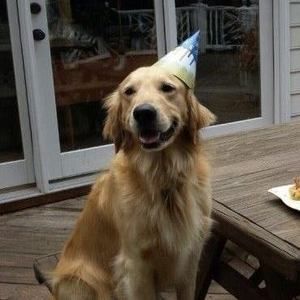 Meet your Posher, Cara